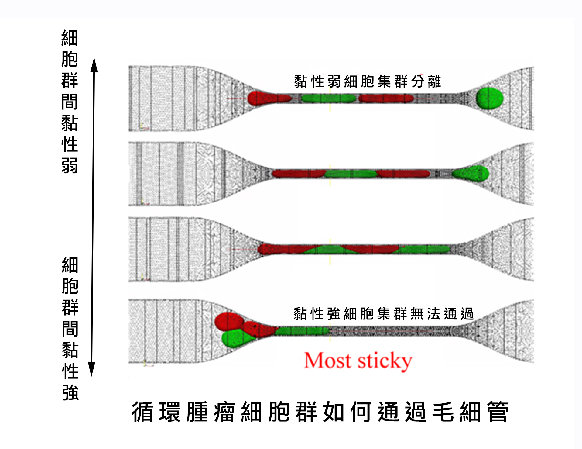 https://www.phys.sinica.edu.tw/files/bpic20161103112419am_CTCpic (1).jpg